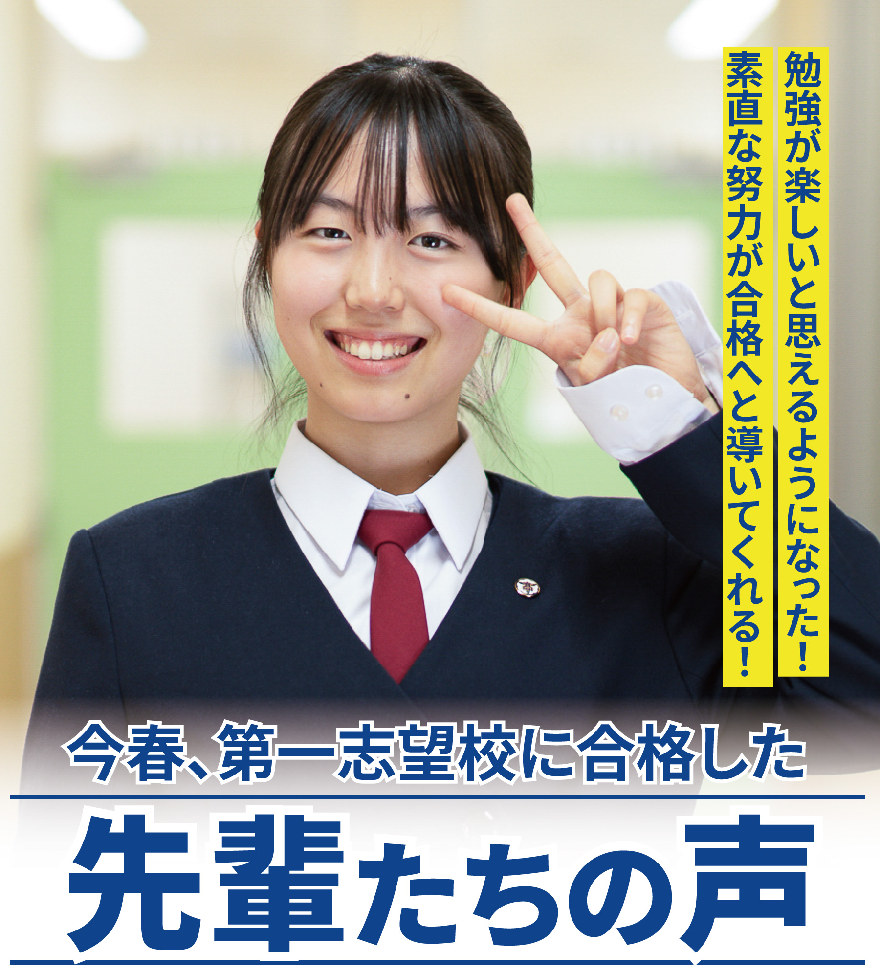 先輩たちの声